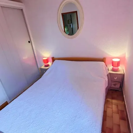 Mitoyenne Climatisee Avec Piscine Et Parking Pour 6 Pers - Fr-1-607-123 别墅 阿格德